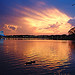 Florida Sunset