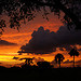 Florida Sunset