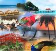 cruise tourism