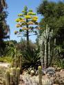 Arizona