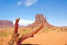 Utah